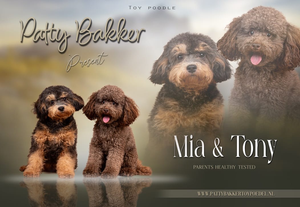 Mia babies