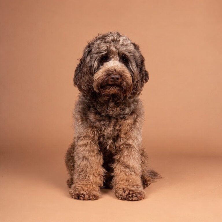 Billy