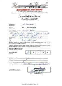 Ellebogen