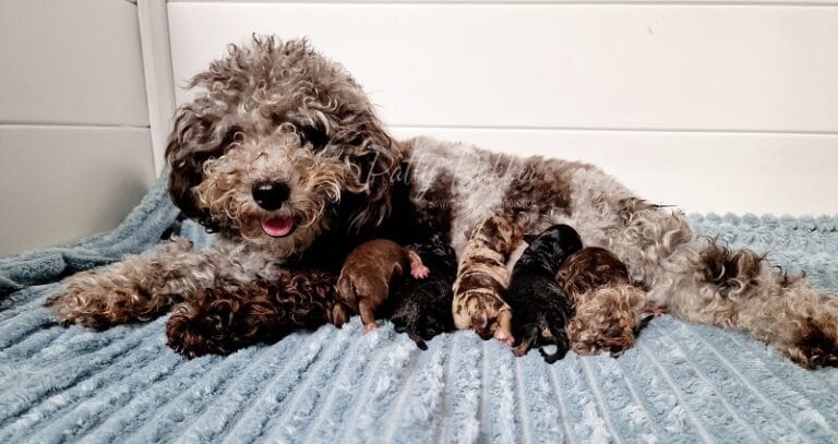 Newborns