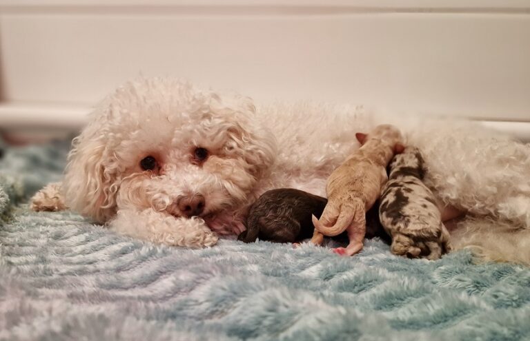 Newborns Lucy