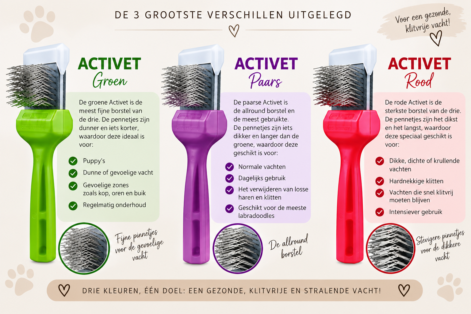 De Activet verschillen