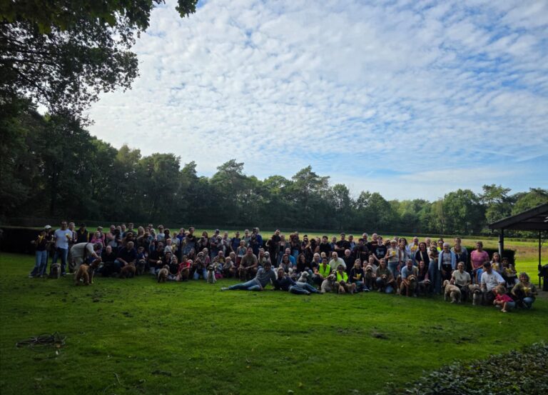 Jaarlijkse wandeling was geweldig!